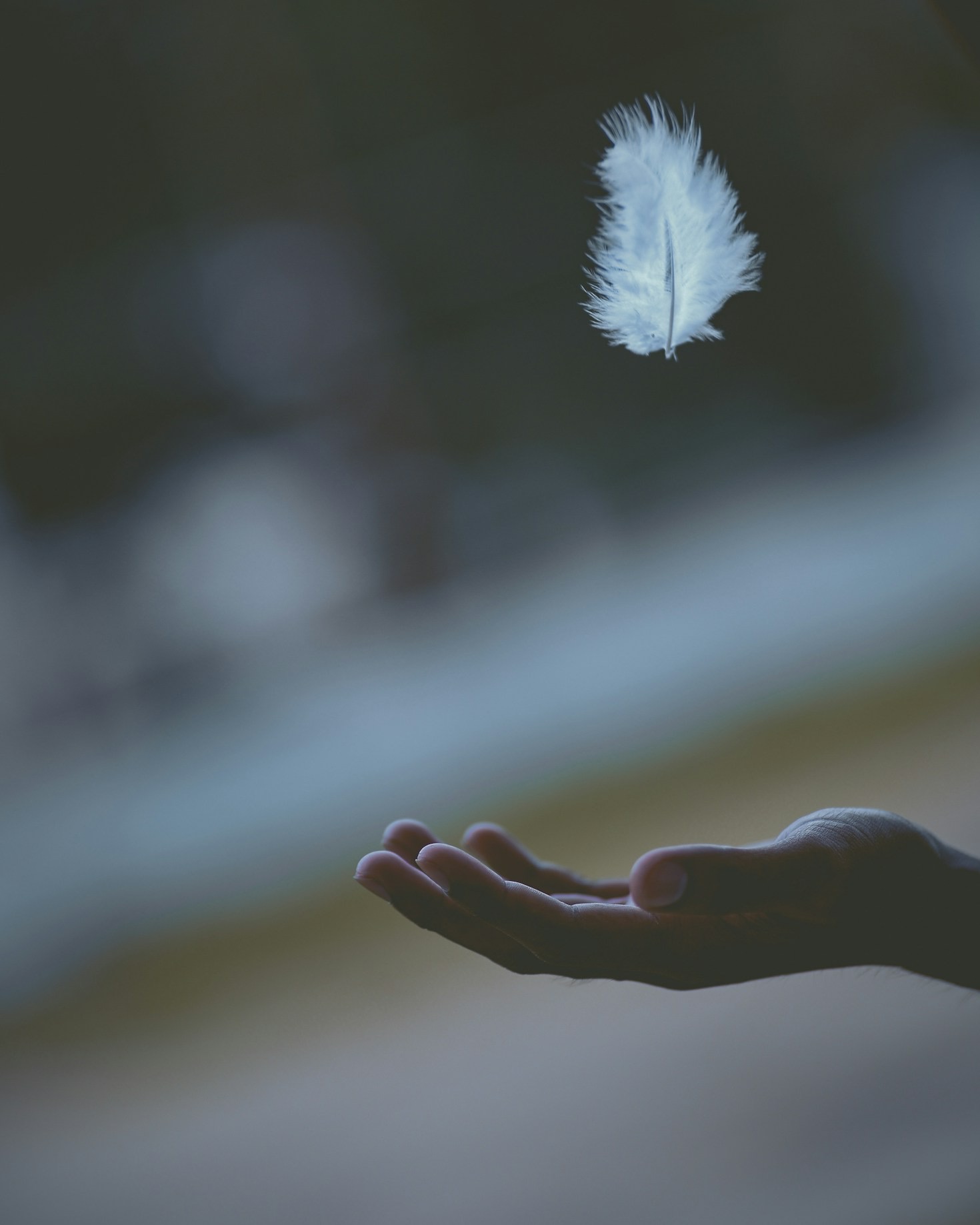 Why Community Matters in Healing Processes