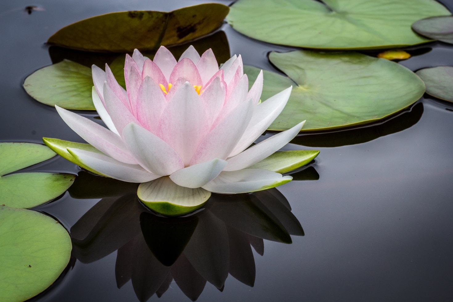Finding Serenity in Everyday Life