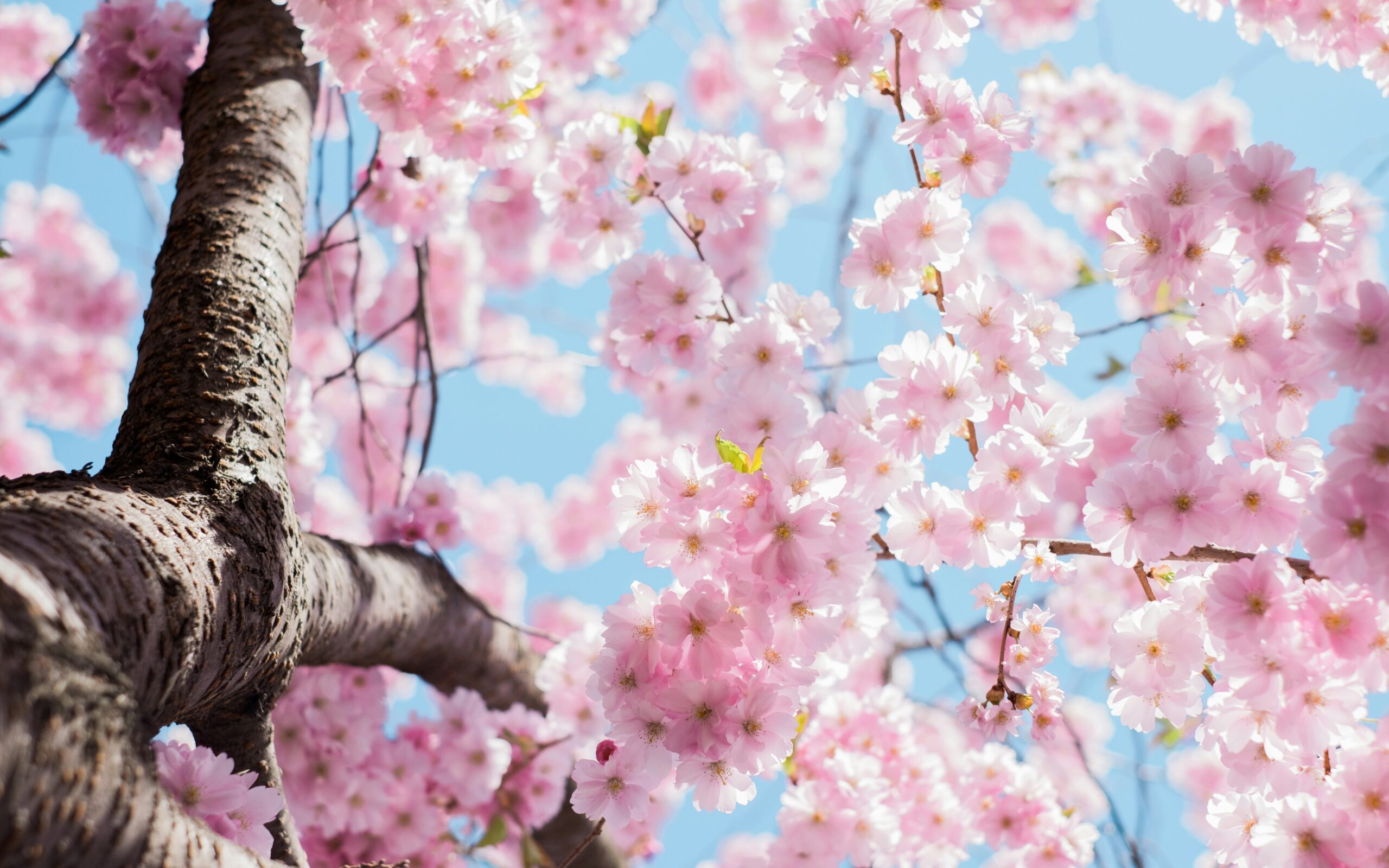 Hello World Featured Image